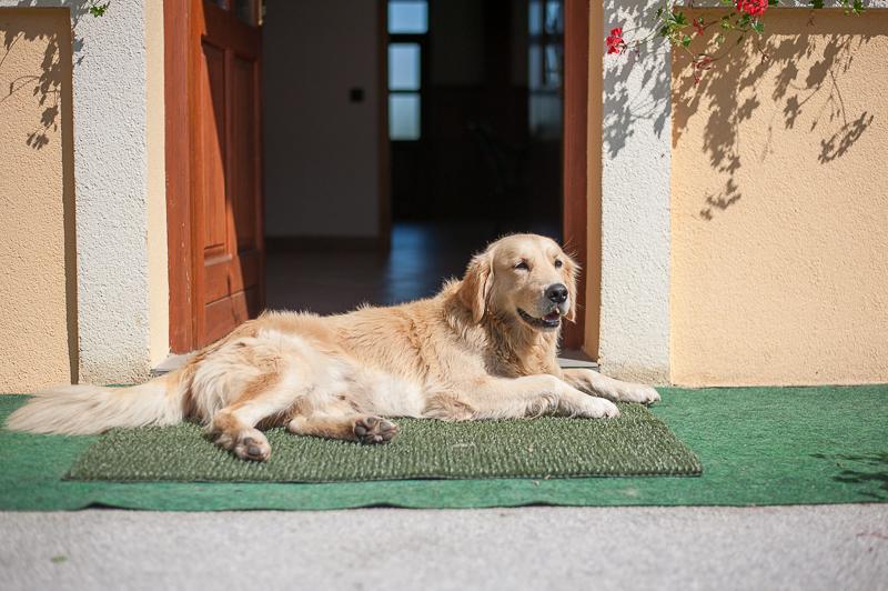 Farm Stay Kramer Bistrica ob Sotli ภายนอก รูปภาพ